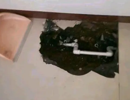 霍邱卫生间测漏水多少钱